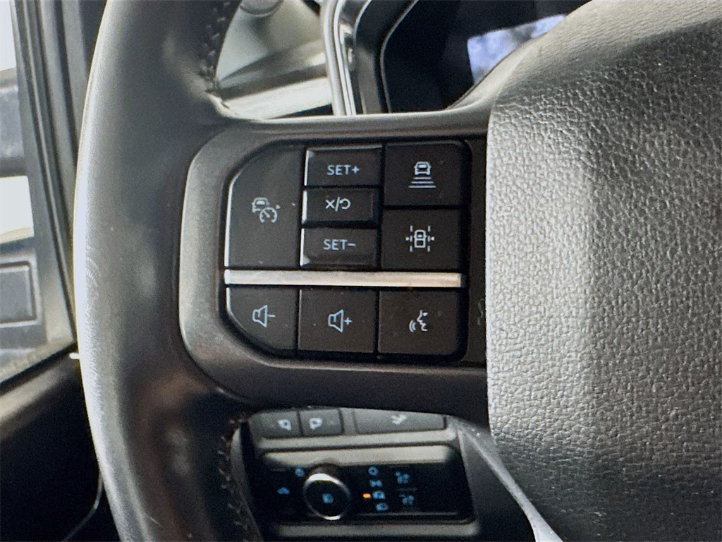 2024 Ford F-250 Super Duty Platinum — thumbnail 13